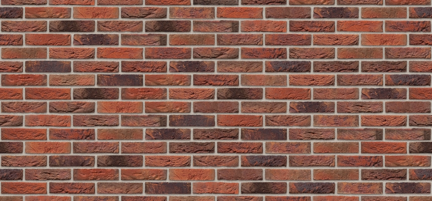 VDS_1_013A0_GH_Viola_00_04_MR