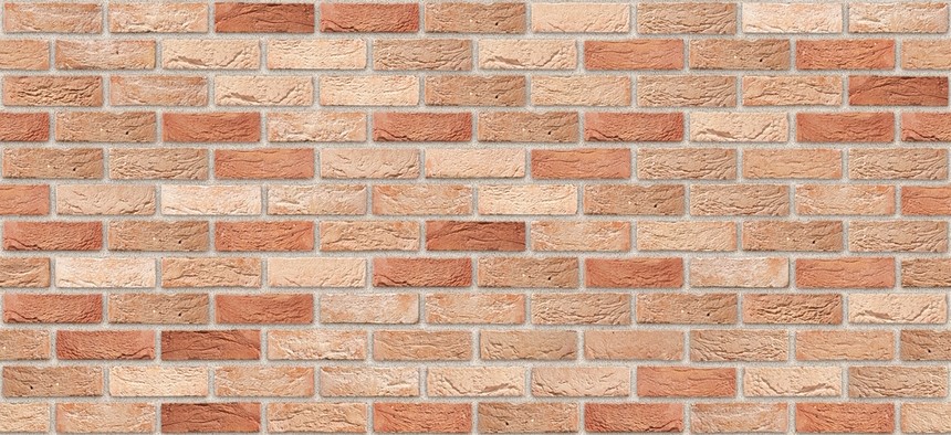 VDS_1_003A0_GH_NeoMagnolia_00_04_MR